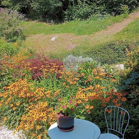 Bed and Breakfast Il Ciliegio Imer Zewnętrze zdjęcie