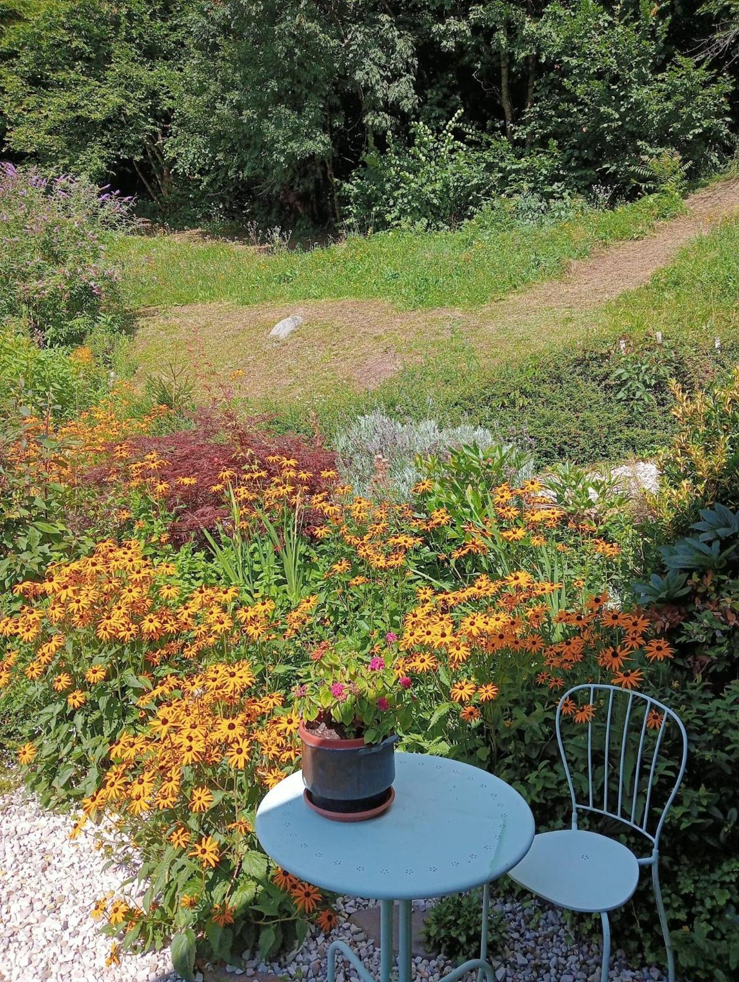 Bed and Breakfast Il Ciliegio Imer Zewnętrze zdjęcie