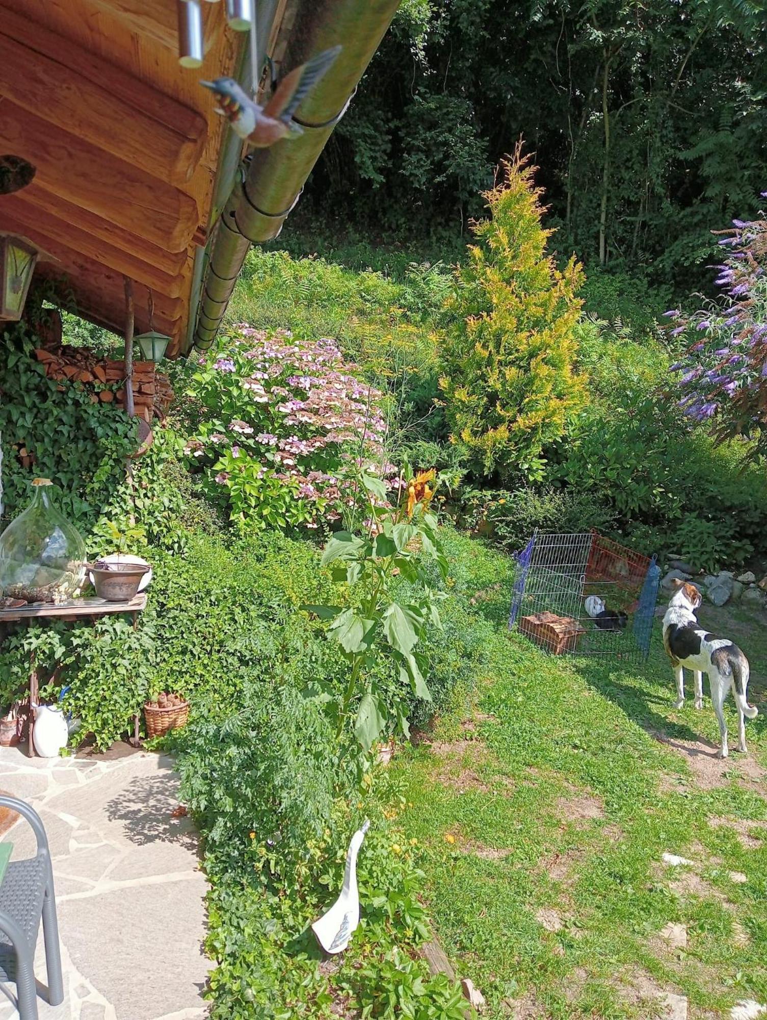 Bed and Breakfast Il Ciliegio Imer Zewnętrze zdjęcie